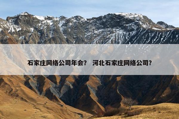 石家庄网络公司年会？ 河北石家庄网络公司？