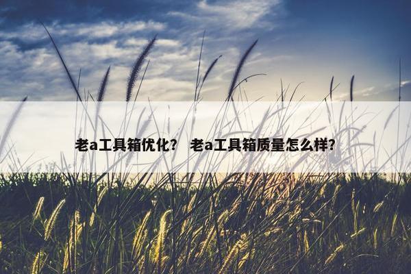 老a工具箱优化？ 老a工具箱质量怎么样？
