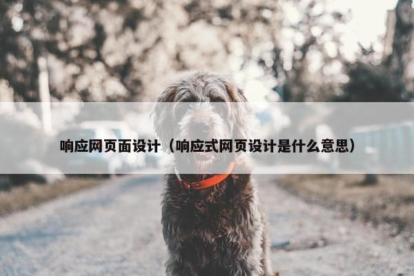 响应网页面设计（响应式网页设计是什么意思）
