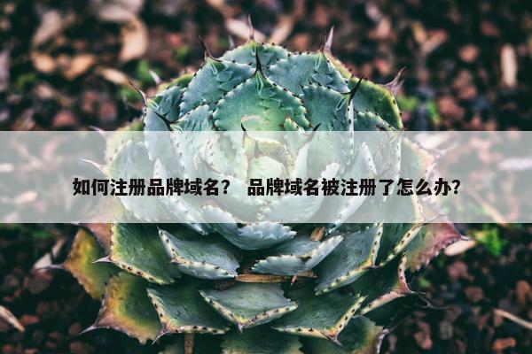 如何注册品牌域名？ 品牌域名被注册了怎么办？
