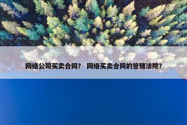 网络公司买卖合同？ 网络买卖合同的管辖法院？