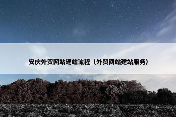安庆外贸网站建站流程（外贸网站建站服务）