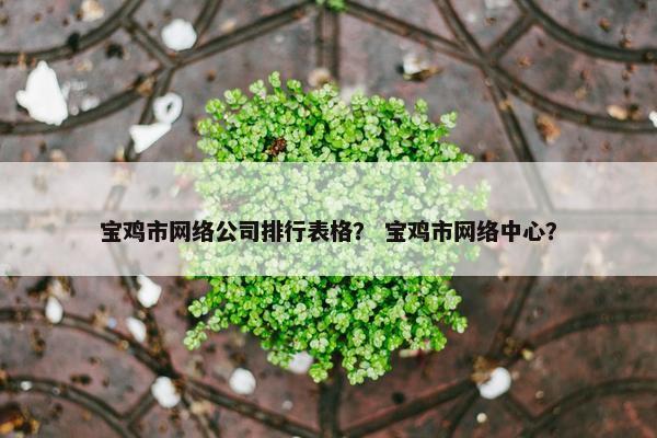宝鸡市网络公司排行表格？ 宝鸡市网络中心？