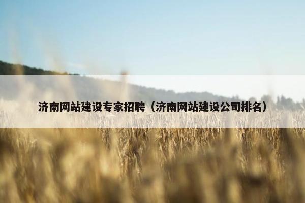 济南网站建设专家招聘（济南网站建设公司排名）