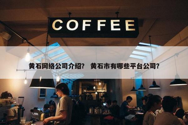 黄石网络公司介绍？ 黄石市有哪些平台公司？