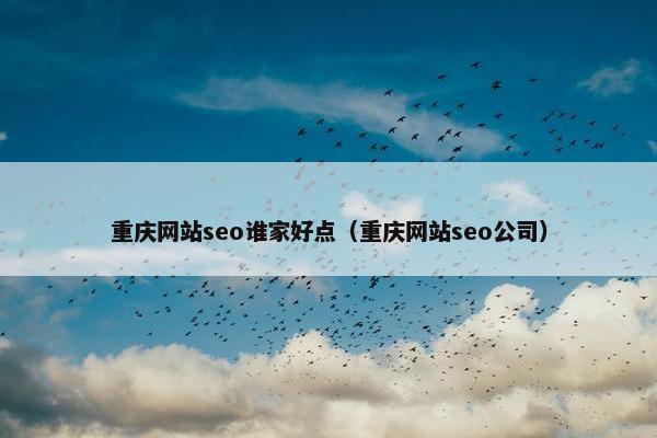 重庆网站seo谁家好点（重庆网站seo公司）
