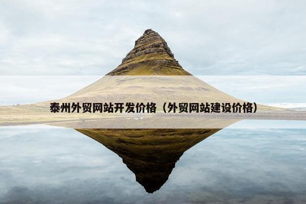 泰州外贸网站开发价格（外贸网站建设价格）