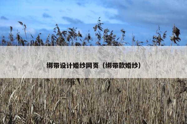 绑带设计婚纱网页（绑带款婚纱）