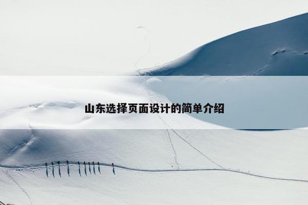 山东选择页面设计的简单介绍