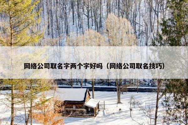 网络公司取名字两个字好吗（网络公司取名技巧）