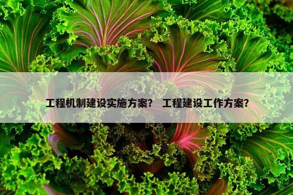 工程机制建设实施方案？ 工程建设工作方案？