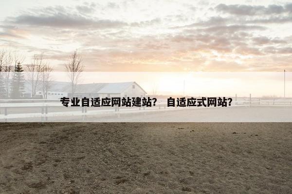 专业自适应网站建站？ 自适应式网站？
