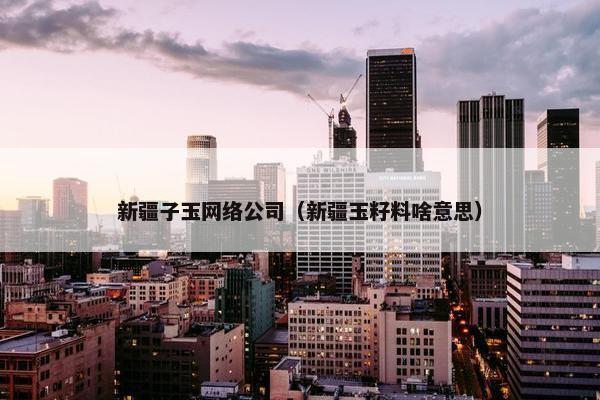 新疆子玉网络公司（新疆玉籽料啥意思）