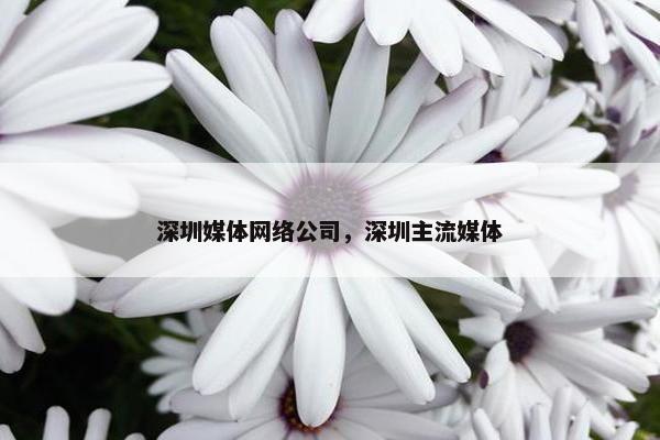 深圳媒体网络公司，深圳主流媒体