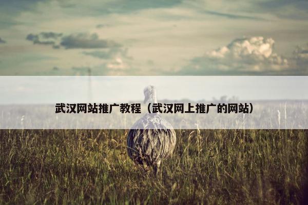 武汉网站推广教程（武汉网上推广的网站）