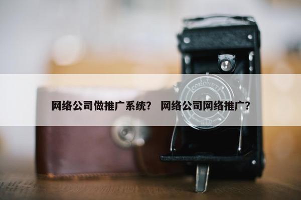 网络公司做推广系统？ 网络公司网络推广？