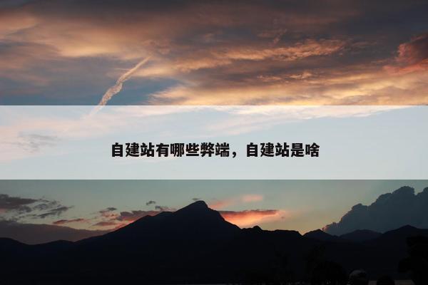 自建站有哪些弊端，自建站是啥