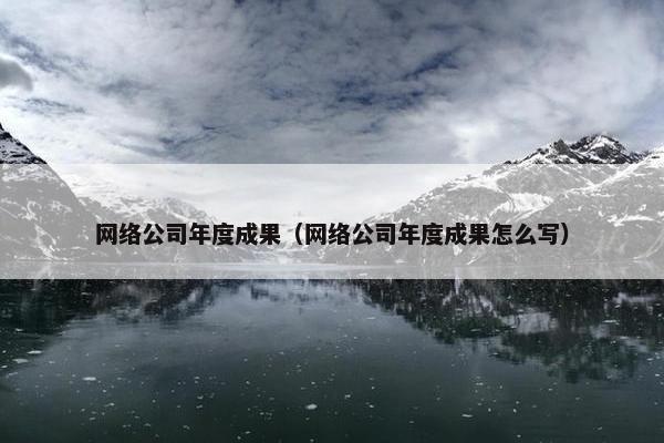 网络公司年度成果（网络公司年度成果怎么写）