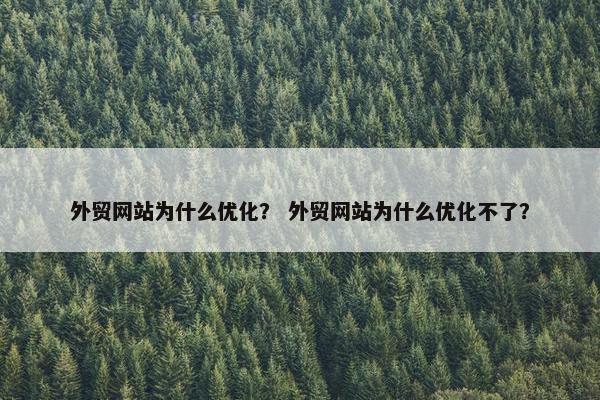 外贸网站为什么优化？ 外贸网站为什么优化不了？