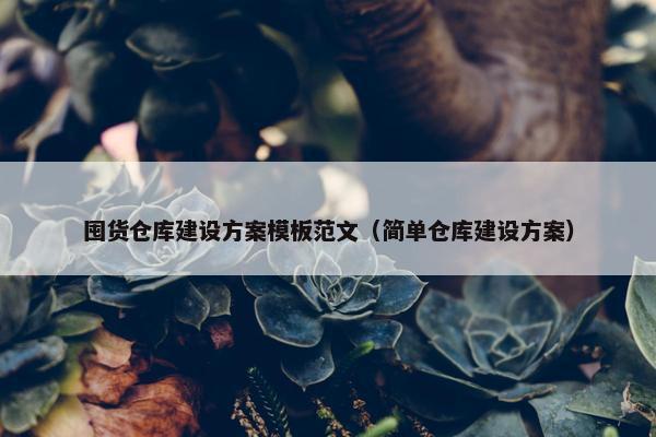 囤货仓库建设方案模板范文（简单仓库建设方案）