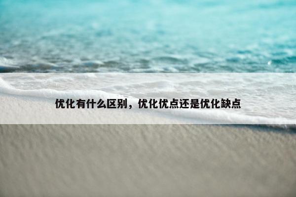 优化有什么区别，优化优点还是优化缺点