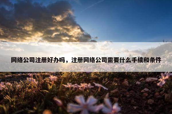 网络公司注册好办吗，注册网络公司需要什么手续和条件