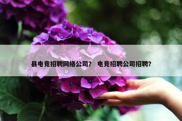 县电竞招聘网络公司？ 电竞招聘公司招聘？