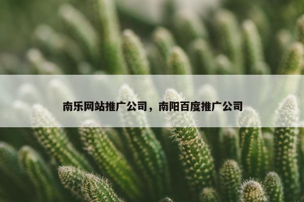 南乐网站推广公司，南阳百度推广公司