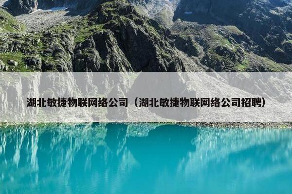 湖北敏捷物联网络公司（湖北敏捷物联网络公司招聘）