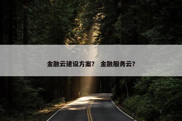 金融云建设方案？ 金融服务云？