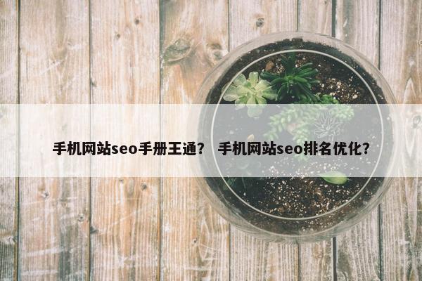 手机网站seo手册王通？ 手机网站seo排名优化？