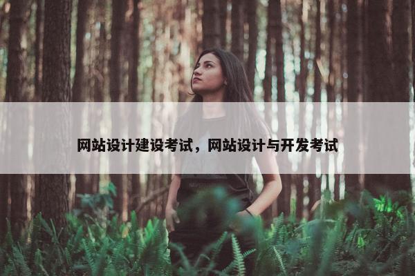 网站设计建设考试，网站设计与开发考试
