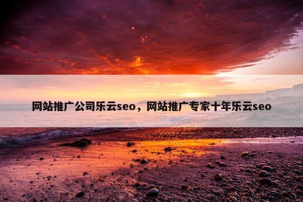 网站推广公司乐云seo，网站推广专家十年乐云seo