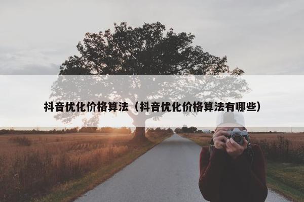 抖音优化价格算法（抖音优化价格算法有哪些）