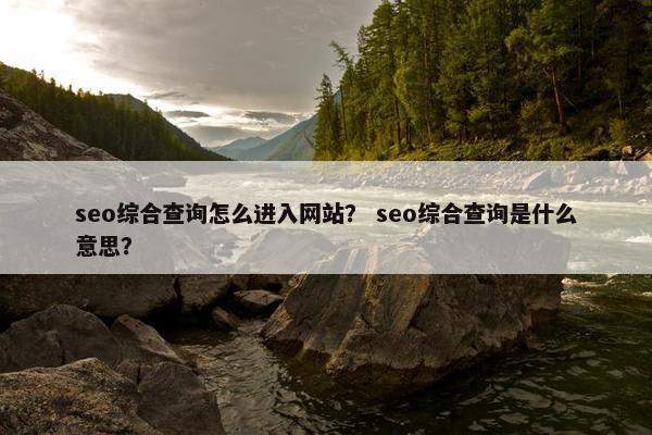 seo综合查询怎么进入网站？ seo综合查询是什么意思？
