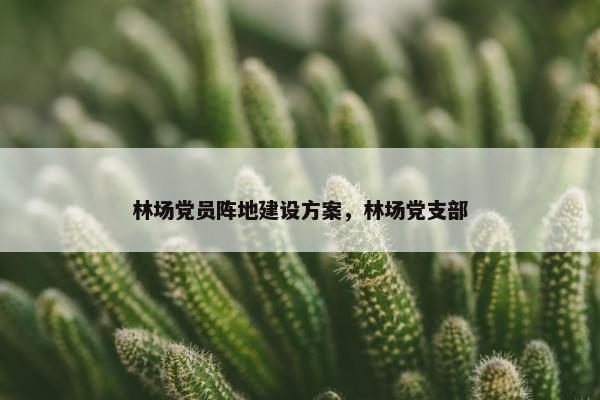 林场党员阵地建设方案，林场党支部