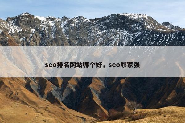 seo排名网站哪个好，seo哪家强