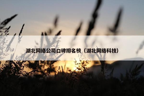 湖北网络公司口碑排名榜（湖北网络科技）