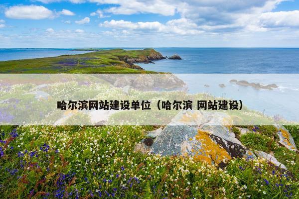 哈尔滨网站建设单位（哈尔滨 网站建设）