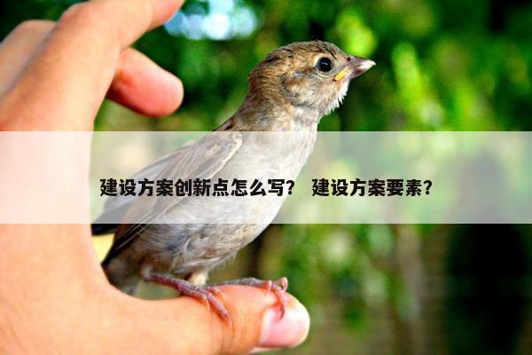 建设方案创新点怎么写？ 建设方案要素？