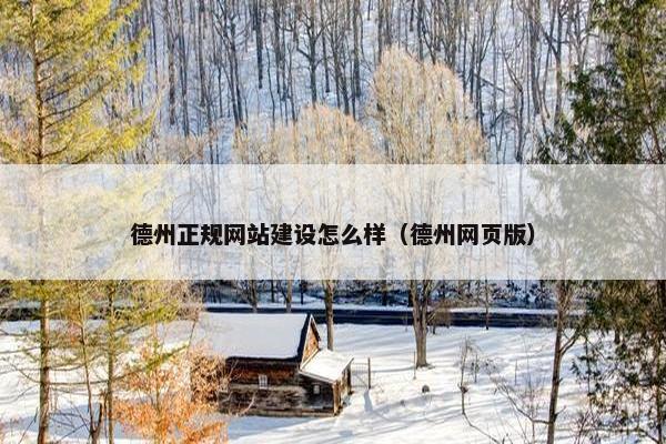 德州正规网站建设怎么样（德州网页版）