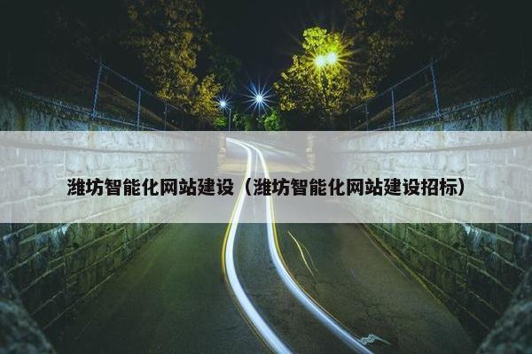 潍坊智能化网站建设（潍坊智能化网站建设招标）
