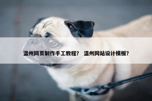 温州网页制作手工教程？ 温州网站设计模板？