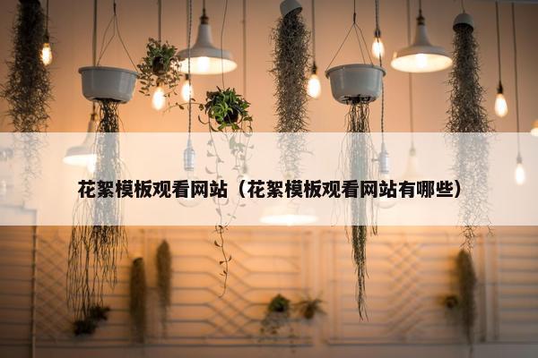 花絮模板观看网站（花絮模板观看网站有哪些）