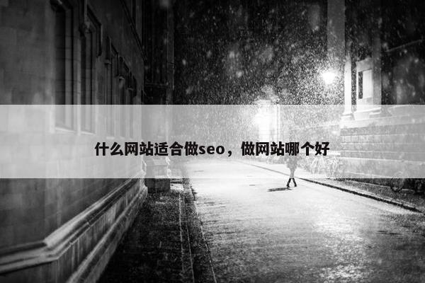 什么网站适合做seo，做网站哪个好