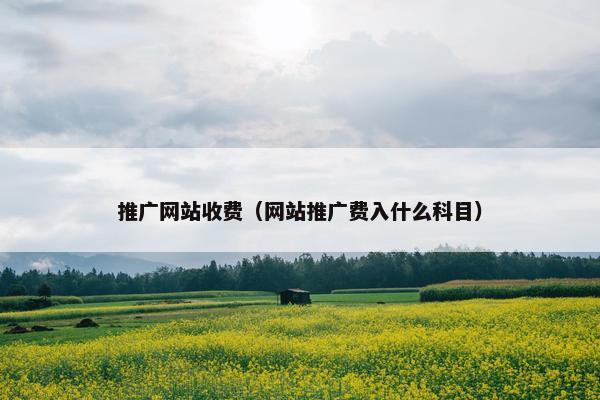 推广网站收费（网站推广费入什么科目）