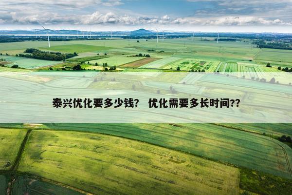 泰兴优化要多少钱？ 优化需要多长时间?？