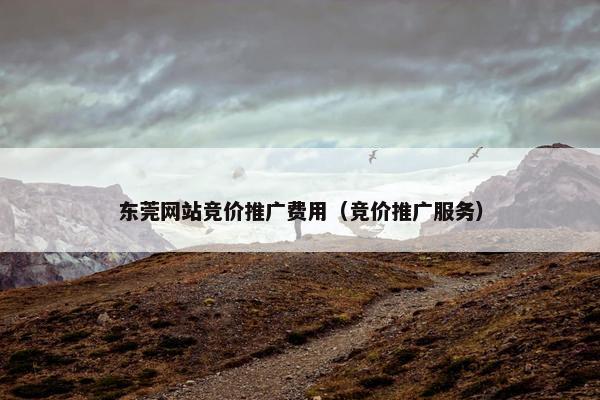 东莞网站竞价推广费用（竞价推广服务）