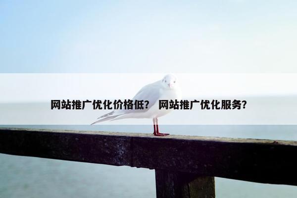 网站推广优化价格低？ 网站推广优化服务？
