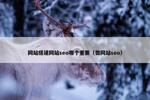 网站搭建网站seo哪个重要（做网站seo）